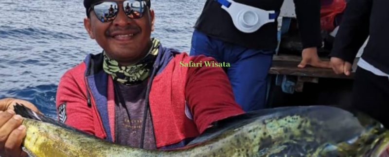 peces para pescar