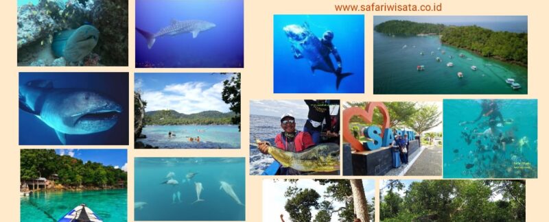 Cosas que Hacer en Pulau Weh